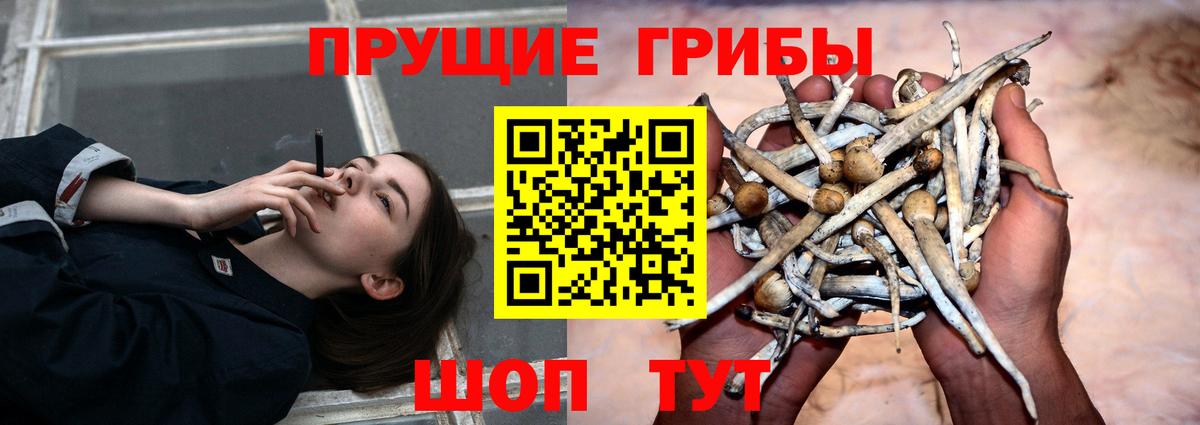 Псилоцибиновые грибы GOLDEN TEACHER Когалым