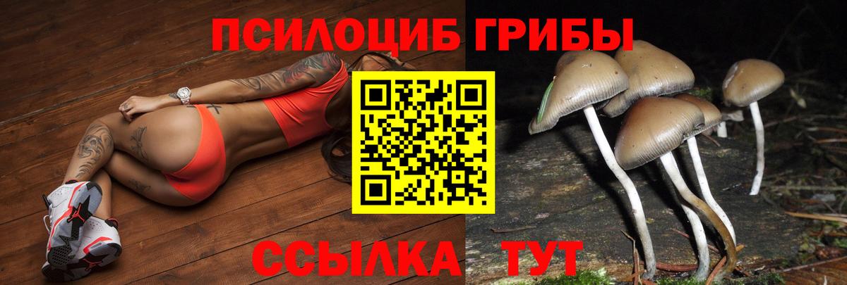 Псилоцибиновые грибы GOLDEN TEACHER  Вход с VPN  Когалым 